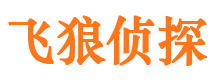 龙川私人侦探